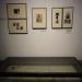 台新藝術獎入圍特展5.jpg